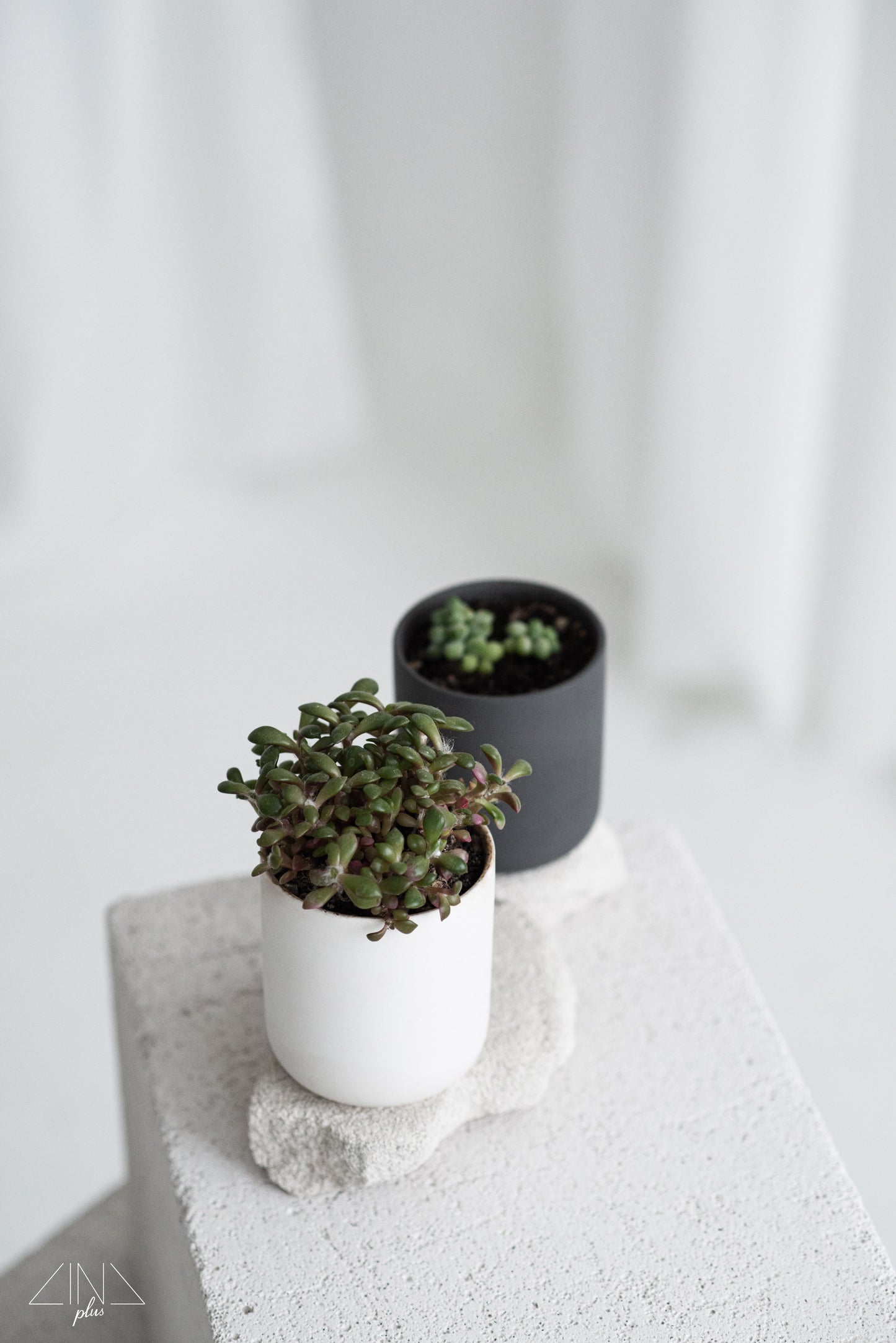 Black Scented Candle with Oak Lid