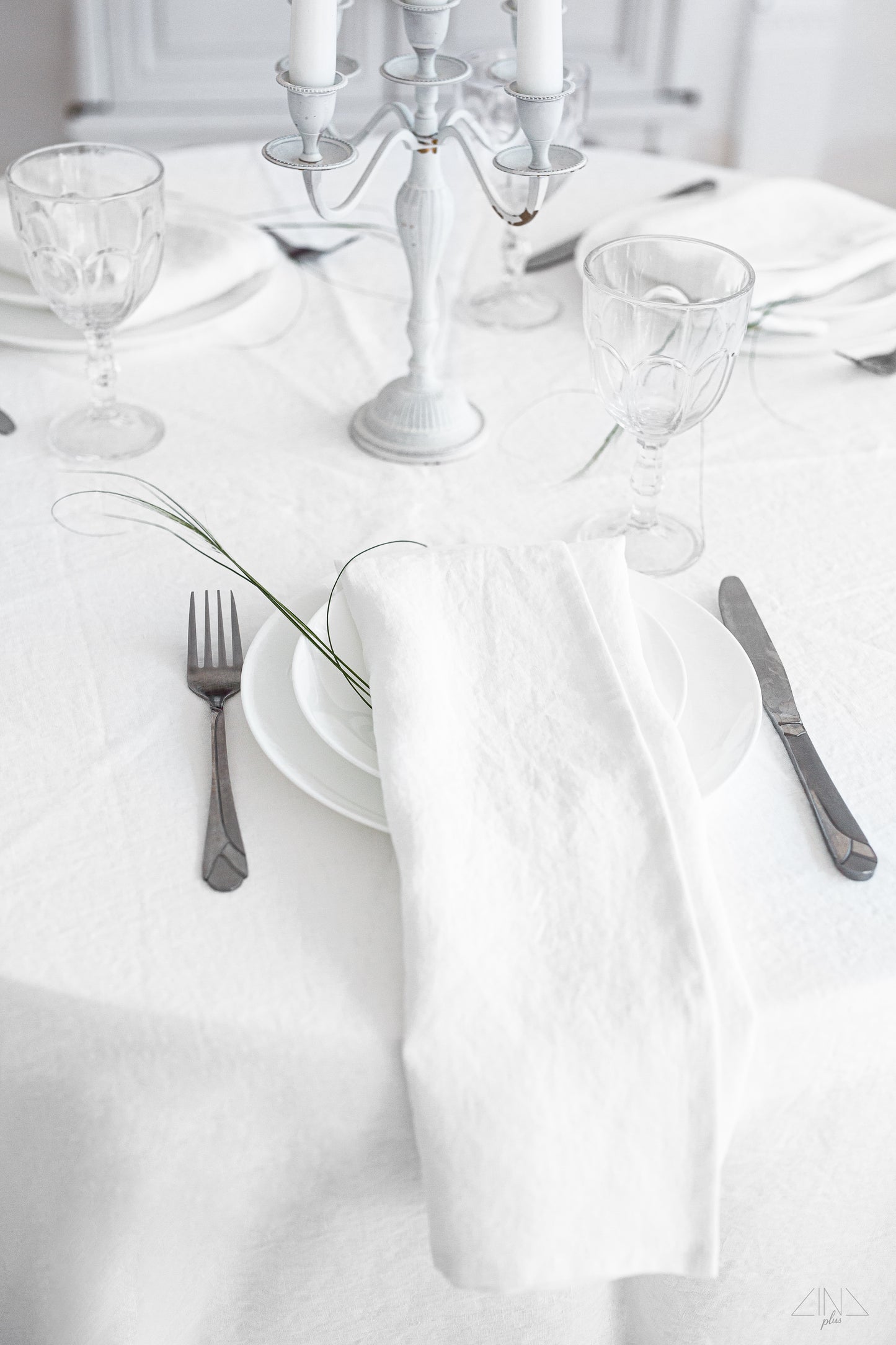 Linen Tablecloth & Napkins in NEUTRAL